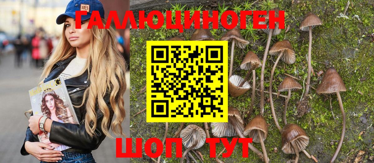 Псилоцибиновые грибы Psilocybe Ростов-на-Дону